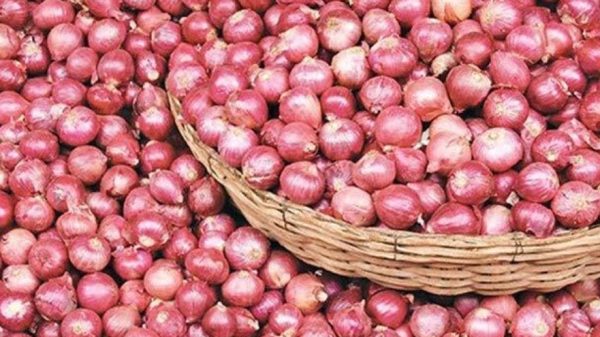 পেঁয়াজ আমদানিতে হঠাৎ আইপি বন্ধ 